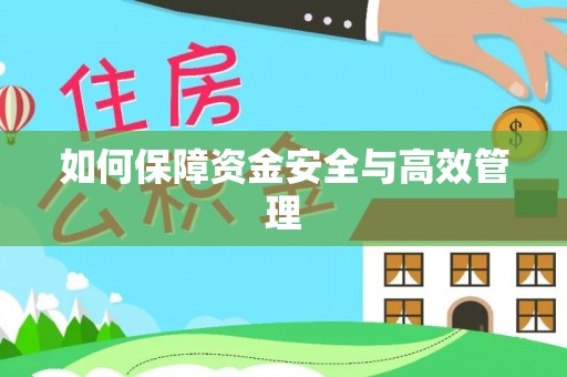 佛坪如何保障资金安全与高效管理