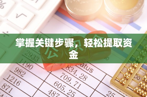 佛坪掌握关键步骤，轻松提取资金