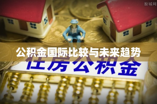 佛坪公积金国际比较与未来趋势